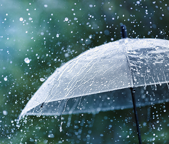 Tennessee Umbrella Insurance Coverage